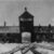 Holocaust og andre folkedrab Gruppelogo